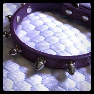 Dog collar leather